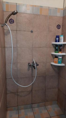 La salle de bains est pourvue d'une douche avec un tuyau. dans l'établissement Vaiterupe Sweet Home, à Orufara
