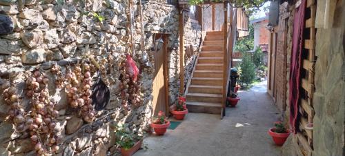 an alley with potted plants on a stone wall at Villa Old House BN in Bitola