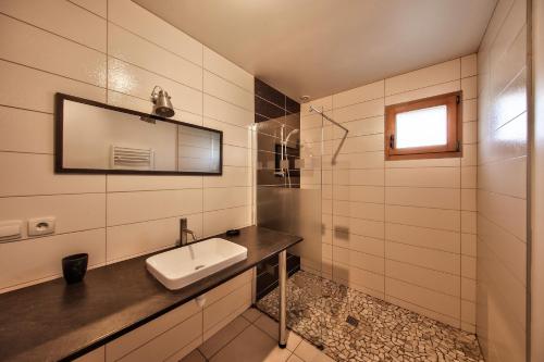 ein Bad mit einem Waschbecken und einem Spiegel in der Unterkunft chalet de charme le contemporain in Ney