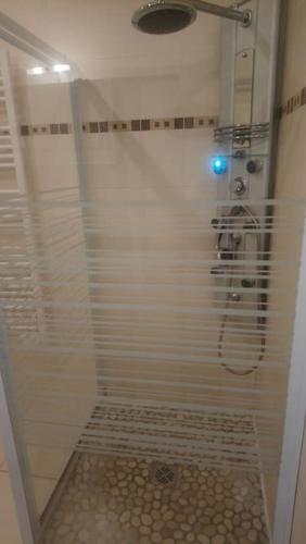 une douche avec une porte vitrée dans une salle de bain dans l'établissement Bel appart duplex moderne à 9 min de l'aéroport, à Janneyrias