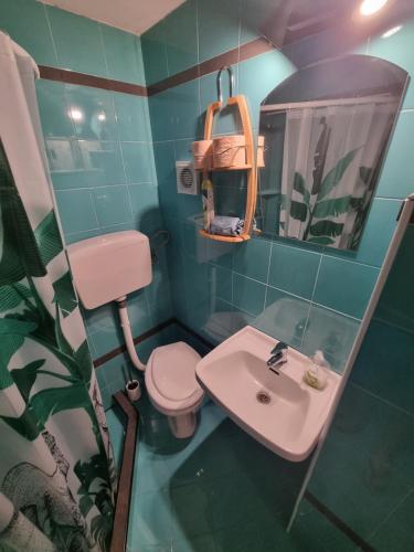a bathroom with a sink and a toilet and a mirror at Atelier apartment in Krasica