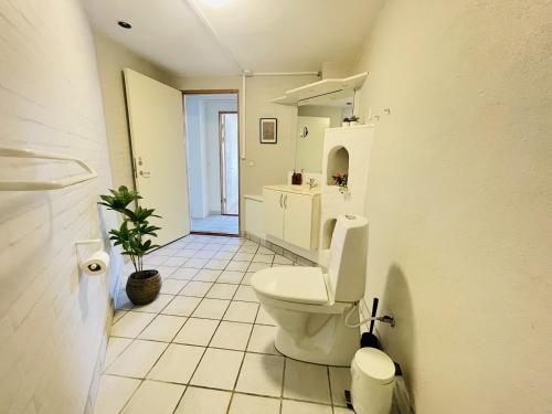 a white bathroom with a toilet and a plant at aday - 2 Bedroom apartment close to Aalborg Hospital in Aalborg