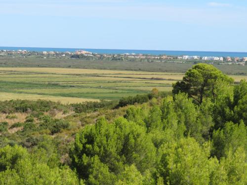 an aerial view of a field with trees at Maison avec logement indépendant piscine privée et vue mer in Pego