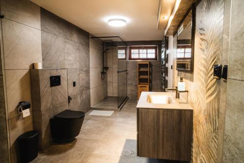een badkamer met een wastafel en een douche bij Penzion Charlie in Mohelnice
