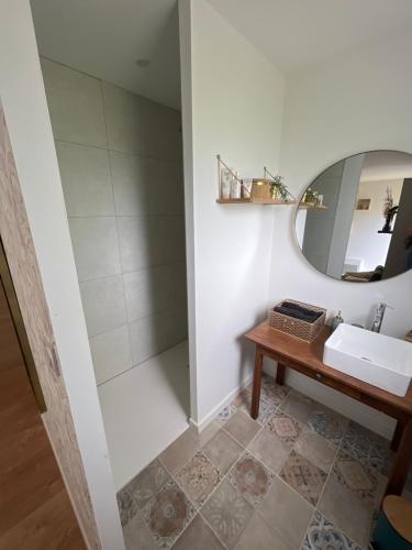 uma casa de banho com um lavatório e um espelho em Chambre privée avec SDB et WC 