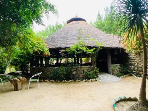 un bâtiment avec un toit de chaume et une chaise devant dans l'établissement Lohagarh Corbett Resort, à Belparāo