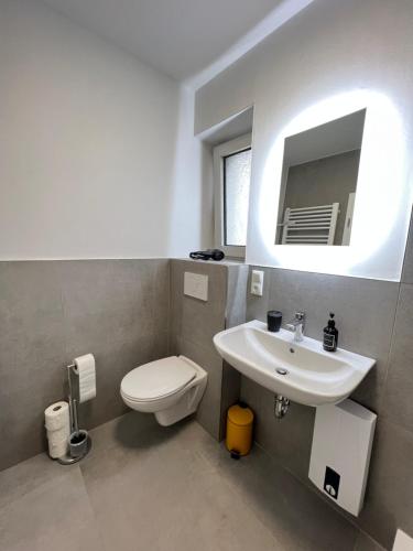 a bathroom with a sink and a toilet and a mirror at Der Schwan 8 & 10 - zentral- stilvoll in Düren - Eifel