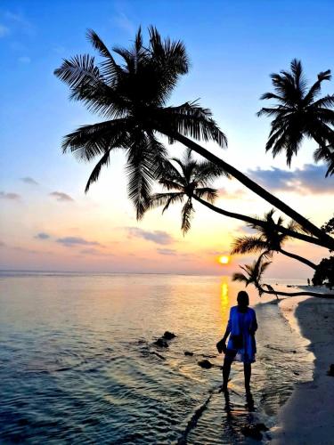 a person standing on the beach under a palm tree at Alimas Holiday Retreat Maldives in Felidhoo