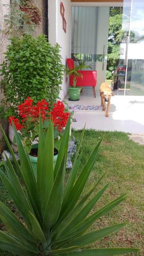 une plante devant une maison avec des fleurs rouges dans l'établissement Pousada Ostara, à Alto Paraíso de Goiás