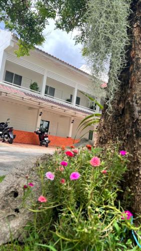 Zahrada ubytování UDEE Cozy Hotel