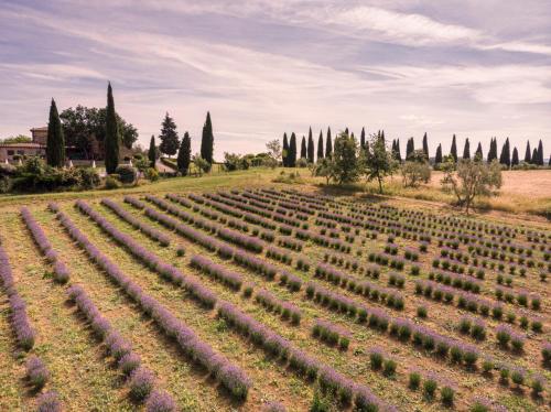 Gallery image of Agriturismo Pometti - Villa Boscarello in Trequanda