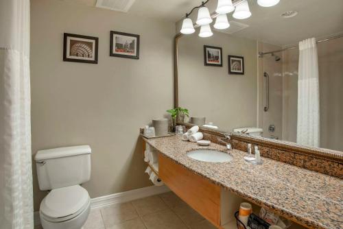 a bathroom with a toilet and a sink and a mirror at Comfort Inn Shady Grove - Gaithersburg - Rockville in Gaithersburg