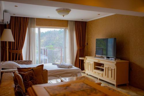 una camera d'albergo con TV e soggiorno di Luxury Apartments 'Rich' a Velingrad