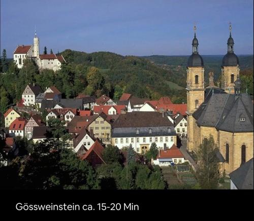 a group of buildings in a town with a church at Goldener Anker Pottenstein Urlaub für die ganze Familie in Pottenstein