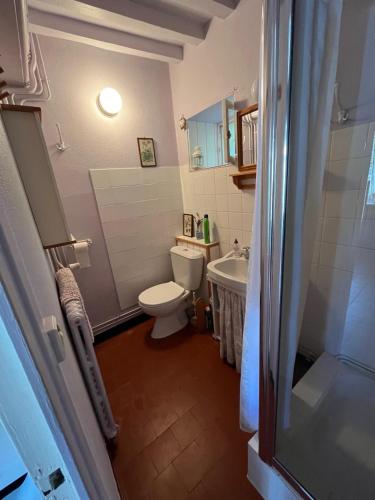 a bathroom with a toilet and a sink at Petite maison au calme à Anost in Anost