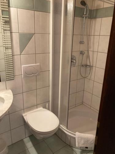 a bathroom with a shower and a toilet and a sink at Moserwirt Pension in Sankt Veit an der Glan