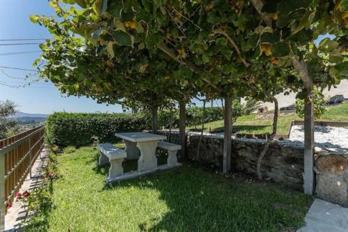 a bench sitting under a tree next to a fence at Fernandes Guest House Sunshine Studio in Ponte de Lima