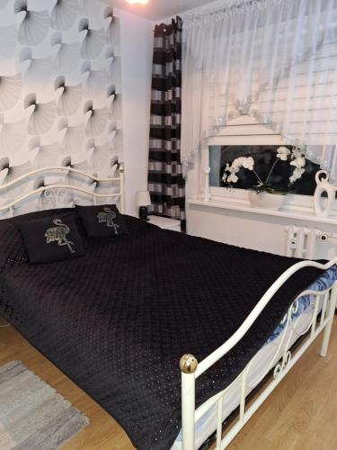 ゴジュフ・ヴィエルコポルスキにあるApartament Gorzówのベッドルーム1室(大型ベッド1台、黒い掛け布団付)