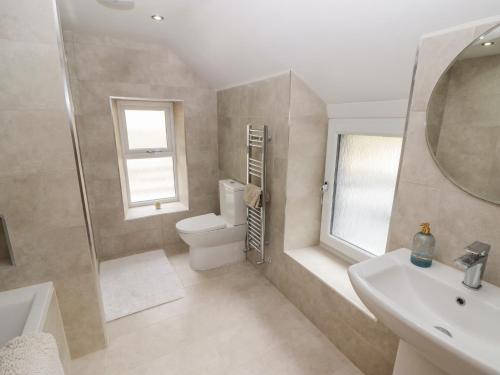 a bathroom with a toilet and a sink and a mirror at Bronyrhiw in Goodwick