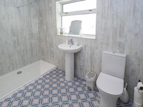 a bathroom with a toilet and a sink and a tub at Joray Bungalow in Alford