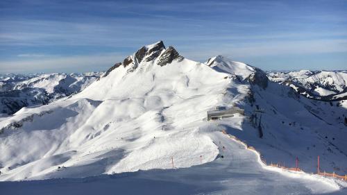 アパートメントから撮影された、または一般的な山の景色