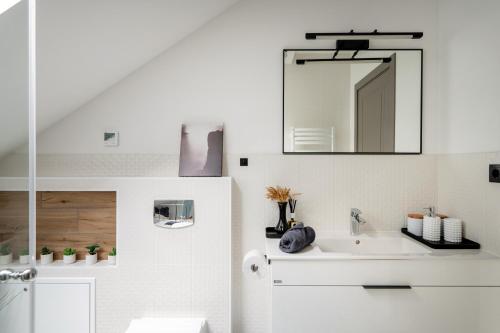 Mordanga的住宿－Ezermaja Akmeni，一间带水槽和镜子的浴室