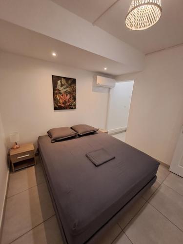 a bedroom with a large bed in a room at Logement Cosy T2, Centre ville de Saint-Pierre in Saint-Pierre