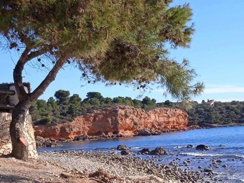 un árbol en una playa rocosa junto al agua en Casita Bella Vida, en L'Ampolla
