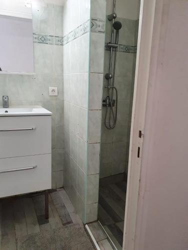 ein Bad mit einer Dusche und einem Waschbecken in der Unterkunft Appartement centre de rochefort in Rochefort