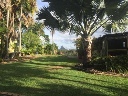 a yard with palm trees and a house at Blackwattle Farm in Beerwah