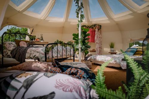 een kamer met 4 bedden en een plafond met ramen bij Finchingfield Lavender in Finchingfield