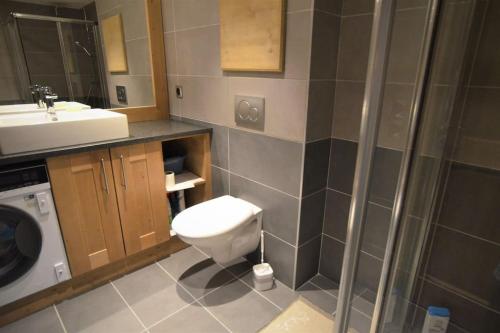 LandryにあるParadiski nouveau, calme et ensoleillé vallandryのトイレと洗面台付きのバスルーム