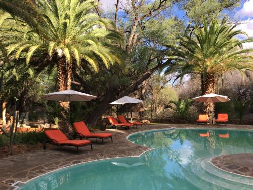 a pool with chairs and umbrellas and palm trees at Omaruru Game Lodge in Omaruru