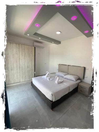 Jasmine rasort في شرم الشيخ: غرفة نوم مع سرير مع أضواء وردية على السقف
