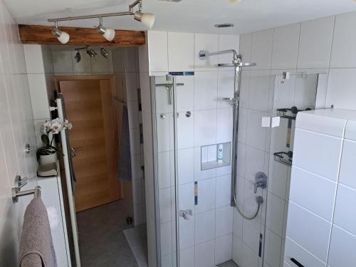 ein Bad mit einer Dusche und einem Kühlschrank in der Unterkunft Appartement Fromme Helene in Millstatt
