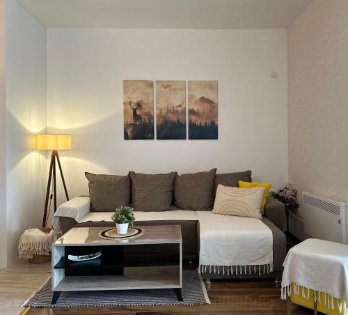 - un salon avec un canapé et une table dans l'établissement Nirvana Lux Apartman Zlatar, à Brdo