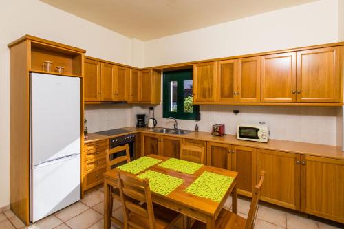 Kuchyň nebo kuchyňský kout v ubytování Villa Eleni