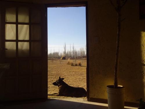 Buda de Uco Lodge – Photos 3
