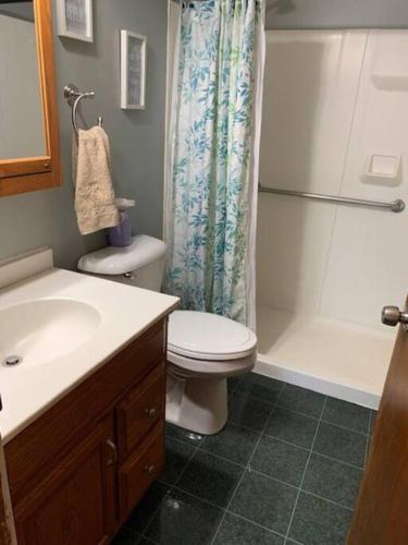 La salle de bains est pourvue d'un lavabo, de toilettes et d'une douche. dans l'établissement Quiet home three bedroom home in peaceful neighborhood, à Saginaw
