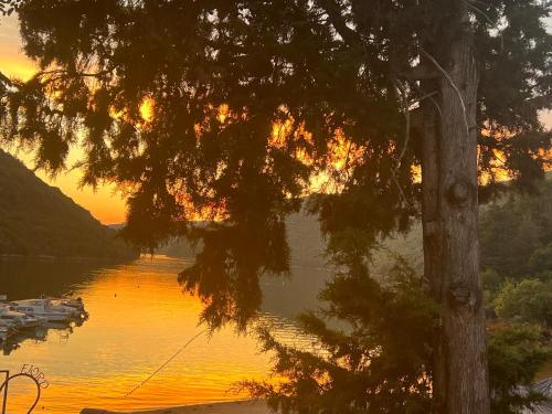 a view of a lake with a tree and a sunset at Villa Salteria 3, pool, private territory, pinery in Rovinj