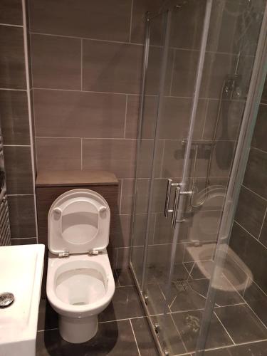 ein Bad mit einem WC und einer Dusche in der Unterkunft Apsley home, Hemel Hempstead in Hemel Hempstead