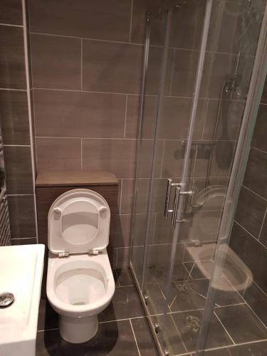 a bathroom with a toilet and a shower at Apsley home, Hemel Hempstead in Hemel Hempstead