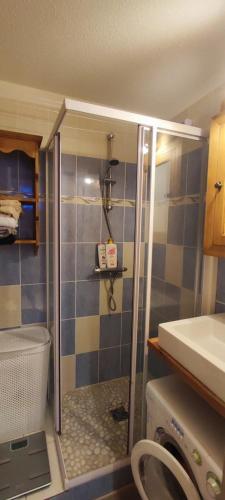 een badkamer met een douche en een glazen deur bij Appartement La Foux d'Allos 4 pers vue station et pistes in Allos