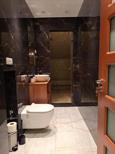 a bathroom with a toilet and a sink and a shower at Mystique Spa Apartment in Belgrade