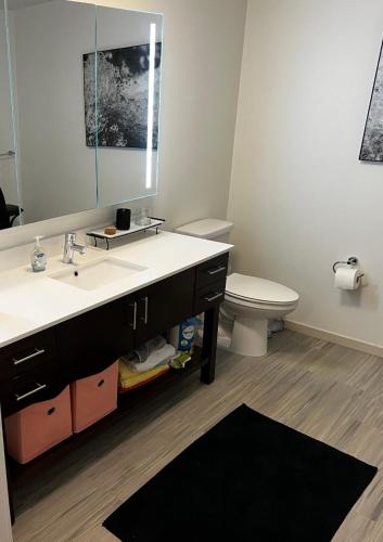 een badkamer met een wastafel, een toilet en een spiegel bij Downtown Detroit Rental in Detroit