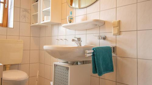 bagno con lavandino e servizi igienici di Busseck Hof a Oberkirch