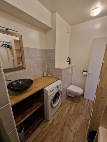 une salle de bain avec un lavabo et une machine à laver dans l'établissement Studio Central, à Thonon-les-Bains