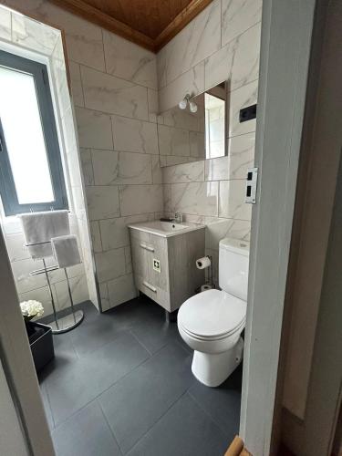 a bathroom with a white toilet and a sink at Domus Vila Maria Douro in Castanheiro do Sul