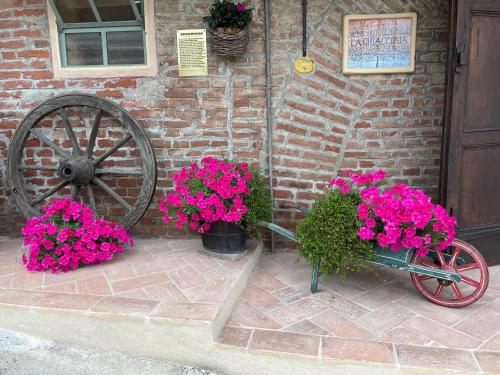 La Cantinetta Resort – Photos 3