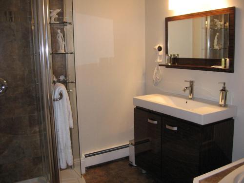 a bathroom with a sink and a shower with a mirror at Driftwood Heights B&B in Summerside